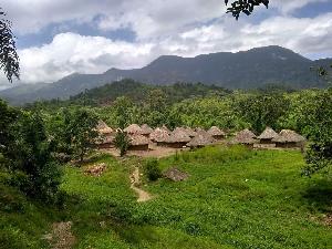 Das 25. Land in der Erfolgsreihe „Wälder der Welt“